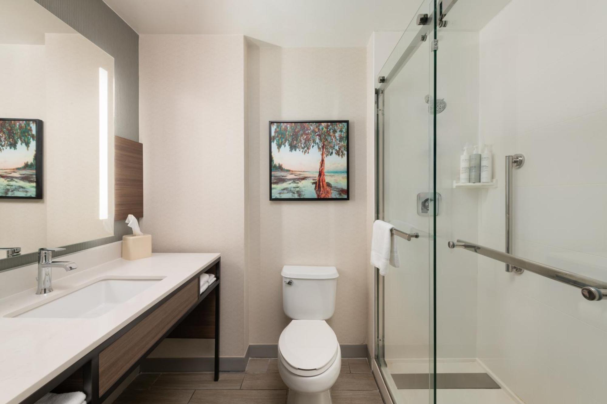 Hilton Garden Inn Tallahassee Rom bilde